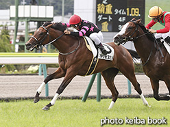 カラーパネル2019年7月13日福島1R 2歳未勝利(テリオスヒメ)