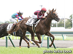 カラーパネル2019年7月20日中京6R 2歳新馬(ペールエール)