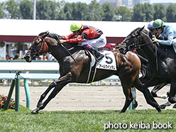 カラープリント(アルミ枠なし)2019年8月4日札幌5R 2歳新馬(アールクインダム)