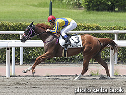 カラープリント(アルミ枠付き)2019年8月17日小倉3R 3歳未勝利(サンバパレード)