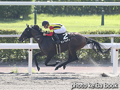 カラープリント(アルミ枠付き)2019年8月17日小倉11R テレQ杯(モンペルデュ)