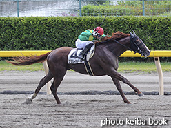 カラープリント(アルミ枠付き)2019年8月17日新潟3R 3歳未勝利(アララトテソーロ)