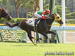 カラープリント(アルミ枠付き)2019年8月17日新潟4R 3歳未勝利(マイティウェイ)