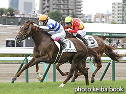 カラーパネル2019年8月17日札幌1R 2歳未勝利(ヒシエレガンス)