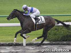 カラープリント(アルミ枠なし)2019年10月12日京都4R 2歳新馬(ラーラクロリ)