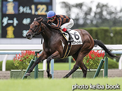 カラープリント(アルミ枠付き)2019年10月13日京都3R 2歳未勝(モズアーントモー)