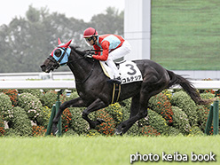 カラープリント(アルミ枠なし)2019年10月14日京都2R 2歳未勝(コルテジア)