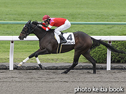 カラープリント(アルミ枠付き)2019年10月14日京都3R 2歳新馬(ヴィンチェーレ)