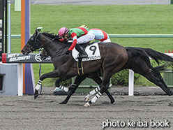 カラーパネル2019年10月14日京都6R 3歳以上1勝クラス(シャンパンクーペ)