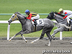 カラープリント(アルミ枠付き)2019年10月14日京都7R 3歳以上1勝クラス(セラピア)