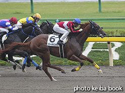 カラープリント(アルミ枠付き)2019年10月14日東京6R 3歳以上1勝クラス(プロトイチバンボシ)