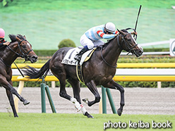 カラーパネル2019年10月15日東京3R 2歳未勝(ラグビーボーイ)