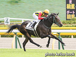 カラーパネル2019年10月15日東京5R 2歳新馬(フローズンスタイル)