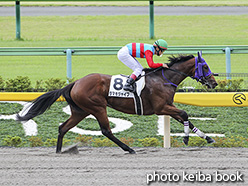 カラープリント(アルミ枠付き)2019年10月15日東京6R 3歳以上1勝クラス(タマモジャイブ)