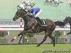 カラープリント(アルミ枠なし)2019年10月19日京都10R トルマリンステークス(リリックドラマ)