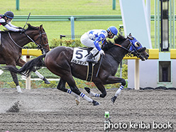 カラープリント(アルミ枠付き)2019年10月19日東京1R 2歳未勝(ハルプモント)