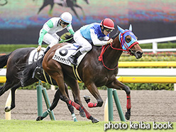 カラーパネル2019年10月19日東京3R 2歳未勝(アドマイヤアリエル)