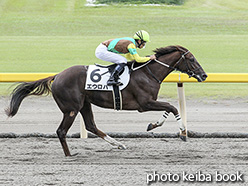 カラープリント(アルミ枠なし)2019年10月19日新潟2R 2歳未勝(エウロパ)