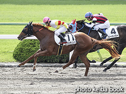 カラーパネル2019年10月20日京都1R 2歳未勝利(エクスチェンジ)