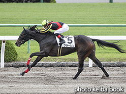 カラープリント(アルミ枠なし)2019年10月20日京都2R 2歳未勝利(フラーレン)