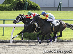 カラーパネル2019年10月20日京都7R 3歳以上1勝クラス(ダノンテイオー)