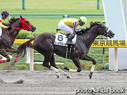 カラープリント(アルミ枠なし)2019年10月20日東京7R 3歳以上1勝クラス(ラーナアズーラ)