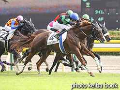 カラーパネル2019年10月20日東京8R 3歳以上1勝クラス(トップオブメジャー)