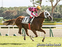 カラープリント(アルミ枠付き)2019年10月20日新潟4R 3歳以上障害未勝利(スマートボムシェル)