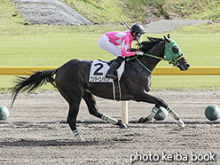 カラープリント(アルミ枠付き)2019年10月20日新潟6R 3歳以上1勝クラス(ワンダーコノシュア)