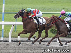 カラーパネル2019年10月26日京都4R 2歳新馬(タマモアテネ)