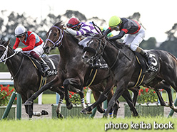 カラーパネル2019年10月26日京都10R 古都ステークス(プリンスオブペスカ)