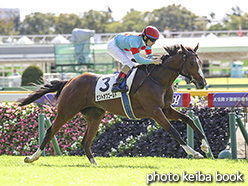 カラーパネル2019年10月26日東京1R 2歳未勝利(セントオブゴールド)