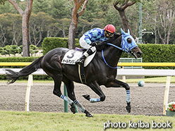 カラーパネル2019年10月26日新潟4R 3歳以上障害OP(オールマンリバー)