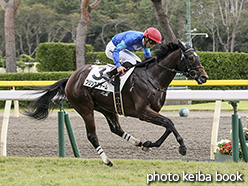 カラーパネル2019年10月26日新潟5R 2歳未勝利(プリンスチャーム)