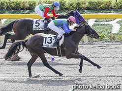 カラーパネル2019年10月27日東京3R 2歳未勝利(トーセンタイミング)