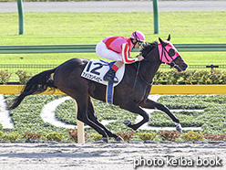 カラープリント(アルミ枠付き)2019年11月2日東京6R 2歳新馬(アメリカンベイビー)
