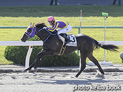 カラープリント(アルミ枠なし)2019年11月10日京都1R 2歳未勝利(ハクアイブラック)