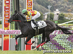 カラーパネル2019年11月16日福島5R 2歳新馬(デンタルバルーン)