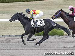 カラープリント(アルミ枠付き)2019年12月7日阪神1R 2歳未勝利(アナザーエンド)