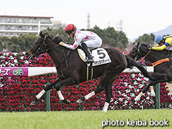 カラープリント(アルミ枠なし)2019年12月7日阪神5R 2歳新馬(マテンロウディーバ)