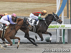 カラーパネル2019年12月7日中京2R 3歳以上1勝クラス(アオイツヤヒメ)