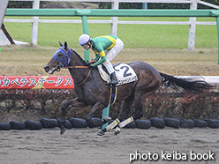 カラーパネル2019年12月7日中山2R 2歳未勝利(ニュートンテソーロ)