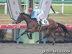 カラーパネル2019年12月7日中山6R 2歳新馬(ヴァルゴスピカ)