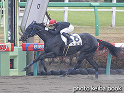 カラープリント(アルミ枠なし)2019年12月7日中山8R 3歳以上2勝クラス(シスル)