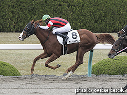 カラープリント(アルミ枠なし)2019年12月8日阪神1R 2歳未勝利(ウインカムトゥルー)