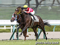 カラープリント(アルミ枠付き)2019年12月8日阪神5R 2歳新馬(アメリカンシード)