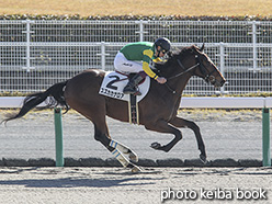 カラーパネル2019年12月8日中京3R 3歳以上1勝クラス(スズカカナロア)