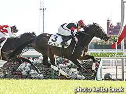 カラーパネル2019年12月8日中京5R 2歳新馬(テンピン)