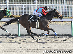 カラーパネル2019年12月8日中京10R 浜名湖特別(バーンスター)