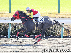 カラープリント(アルミ枠なし)2019年12月8日中山2R 2歳未勝利(モルタル)